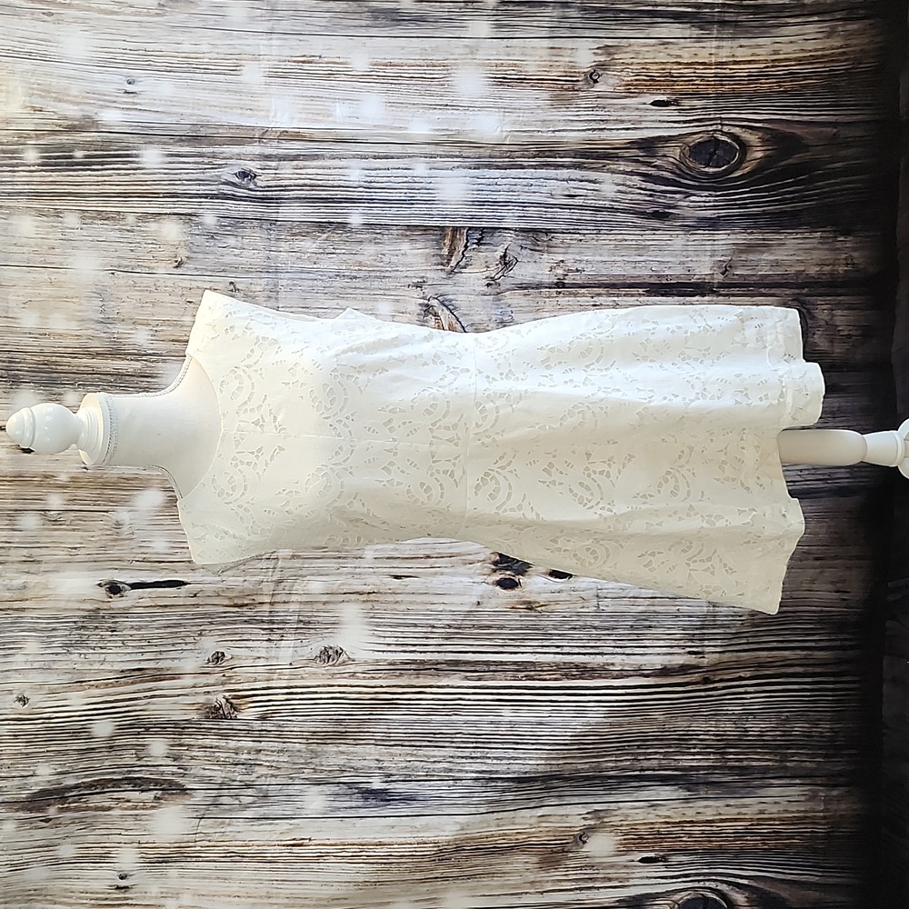 H&M Lace Dress